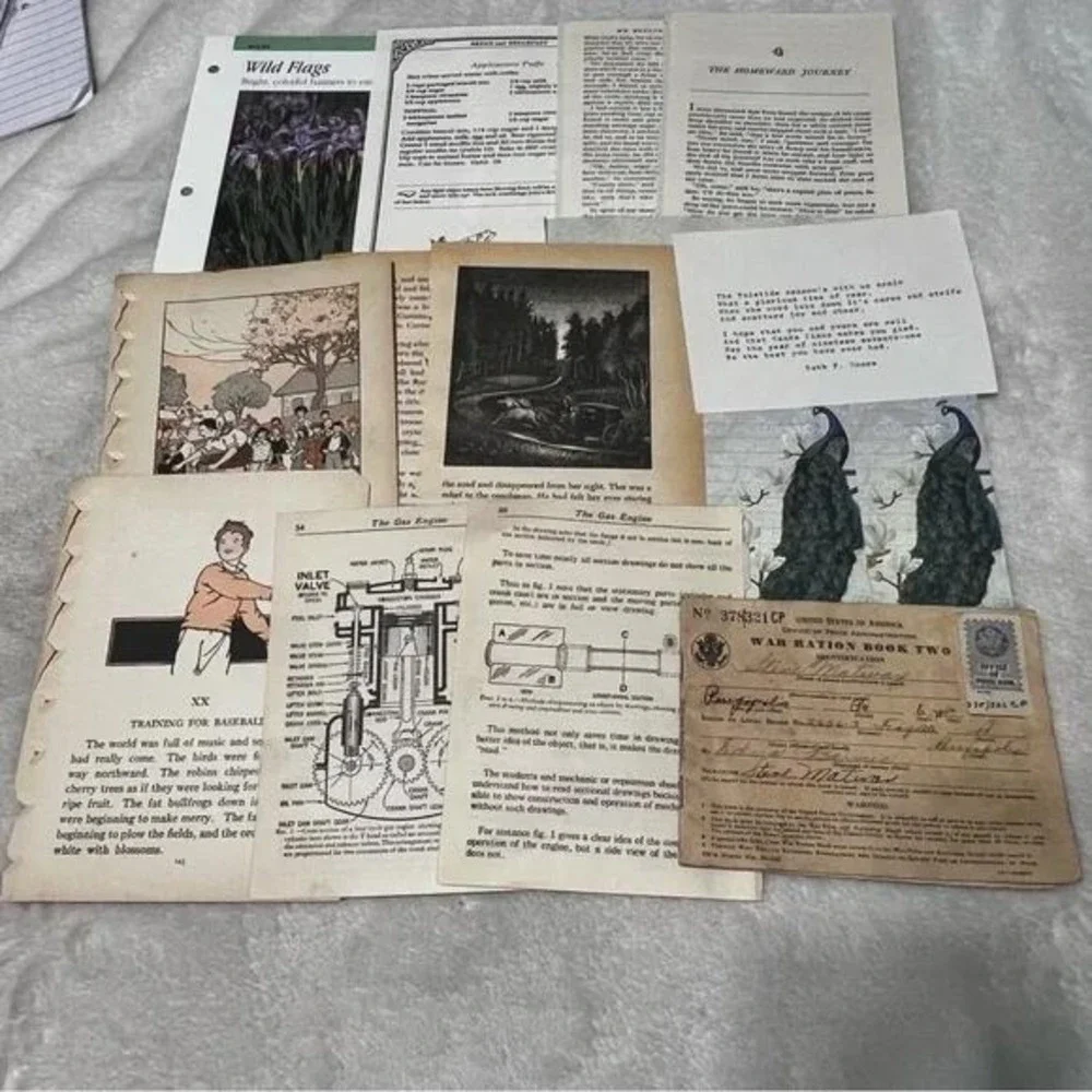 50+ piece Ephemera Lot 2 Collage Crafting Junk Journals Scrapbooking
